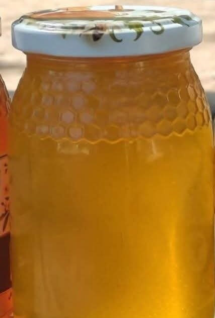 عسل شوك الابل 1كلغ