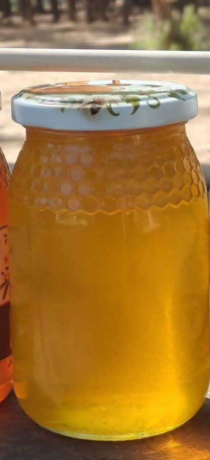 عسل شوك الابل 1كلغ